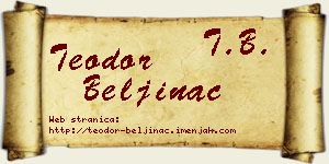 Teodor Beljinac vizit kartica